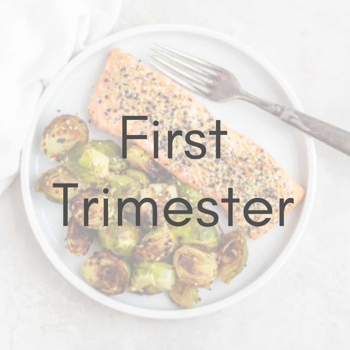 1st-trimester-meal-plan-ryann-the-prenatal-nutritionist